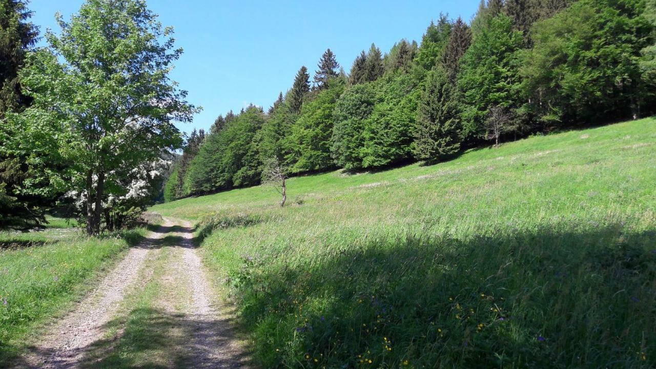 Ferienhaus Moosbachtal Thueringer Wald Bei Oberhof Rotterode Экстерьер фото